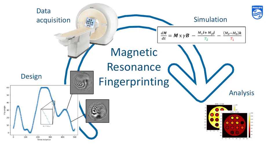 MRI Fingerprinting with Philips